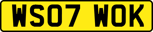 WS07WOK