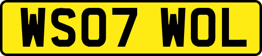 WS07WOL