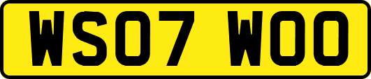 WS07WOO
