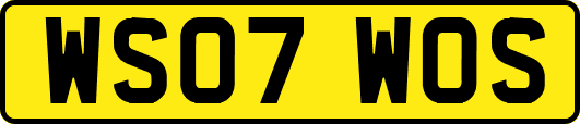 WS07WOS