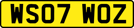 WS07WOZ