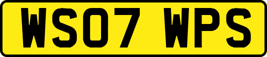 WS07WPS