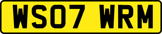 WS07WRM