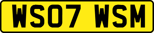 WS07WSM