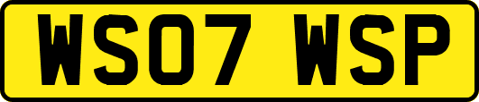 WS07WSP
