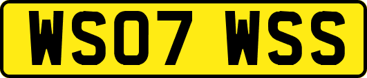 WS07WSS