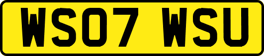 WS07WSU
