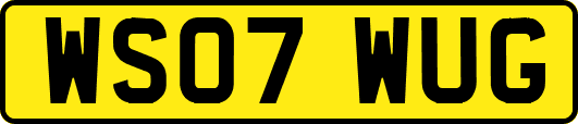 WS07WUG