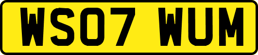 WS07WUM