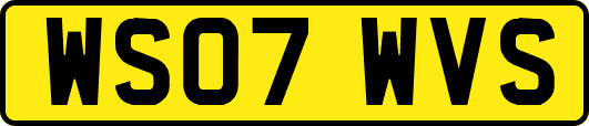 WS07WVS