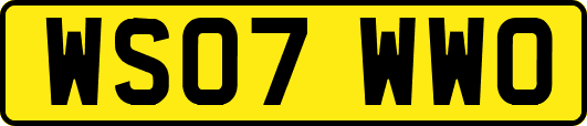 WS07WWO