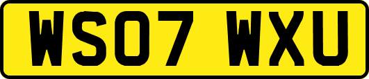 WS07WXU