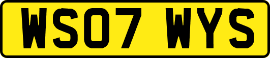 WS07WYS