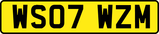 WS07WZM