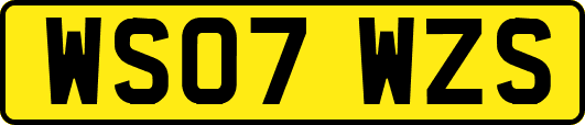 WS07WZS