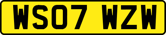 WS07WZW