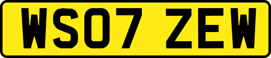 WS07ZEW