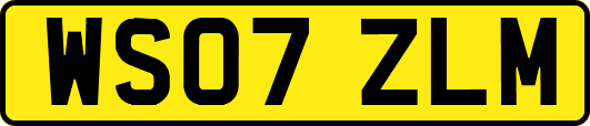 WS07ZLM