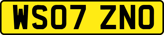 WS07ZNO