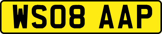WS08AAP