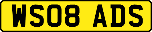 WS08ADS