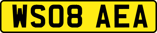 WS08AEA