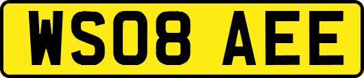 WS08AEE