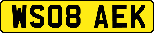 WS08AEK