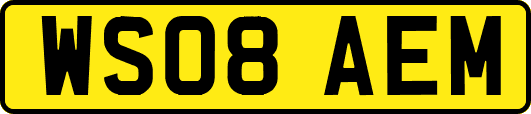 WS08AEM