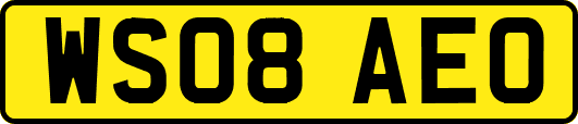 WS08AEO