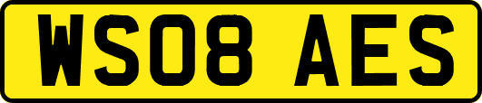 WS08AES