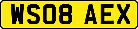 WS08AEX