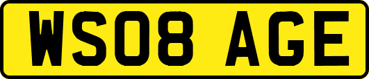 WS08AGE