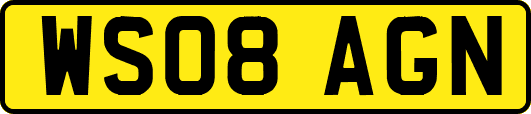 WS08AGN