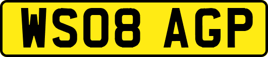 WS08AGP
