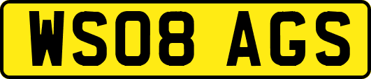 WS08AGS