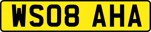 WS08AHA
