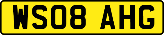 WS08AHG