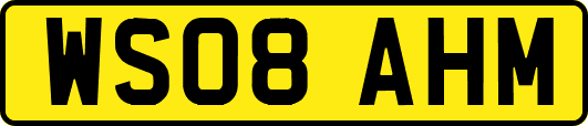 WS08AHM