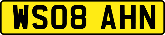WS08AHN
