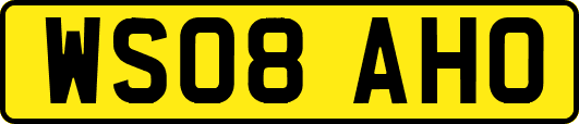WS08AHO
