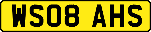 WS08AHS