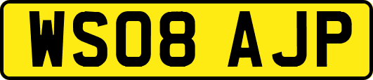 WS08AJP