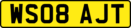WS08AJT