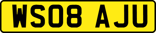WS08AJU