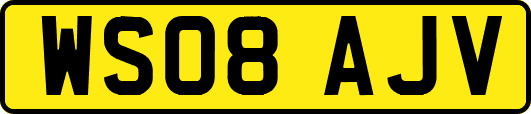 WS08AJV