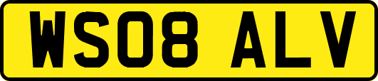 WS08ALV