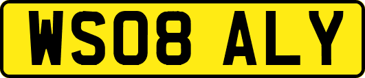 WS08ALY