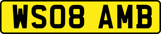 WS08AMB