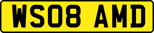 WS08AMD